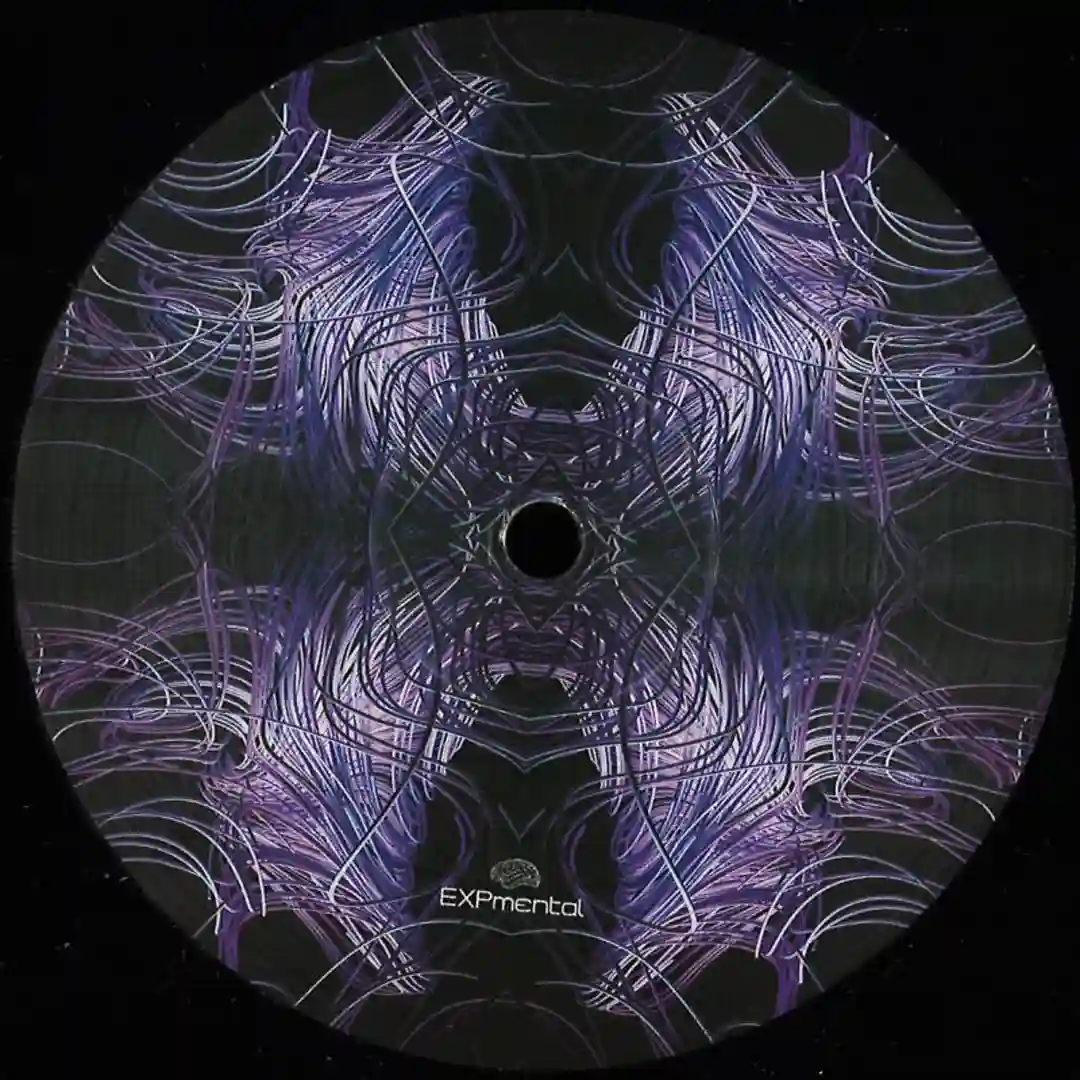 Duo VINYL ONLY  cover