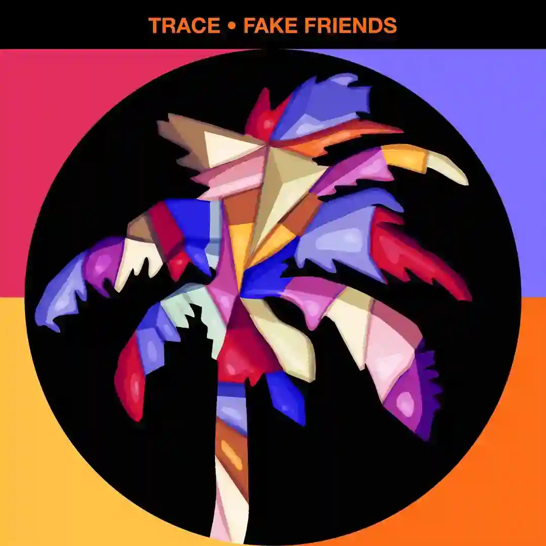 Fake Friends cover