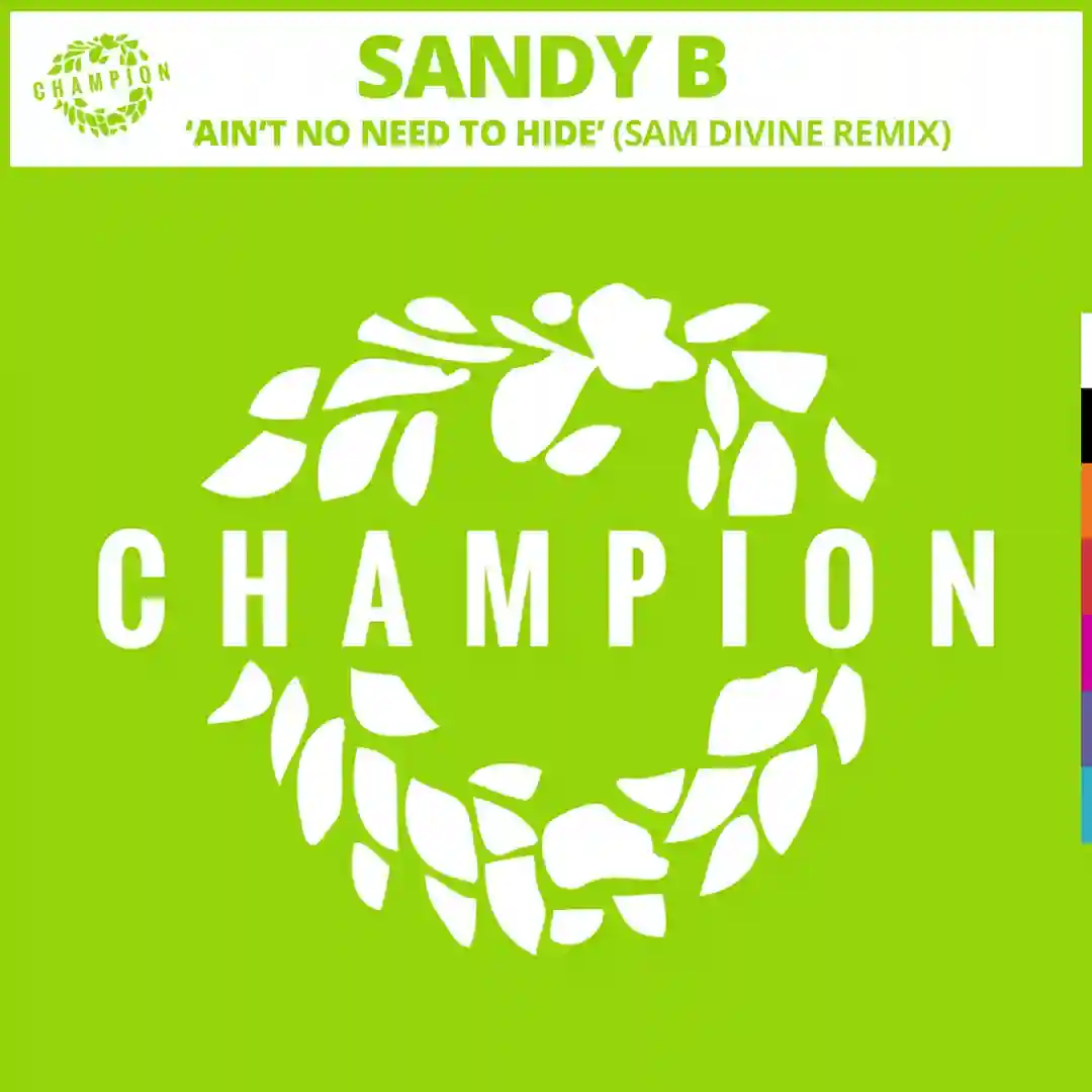 Ain't No Need To Hide (Sam Divine Extended Remix) cover