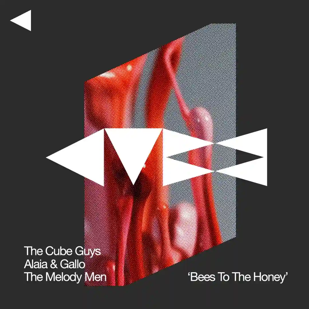 Bees To The Honey (Original Mix) cover