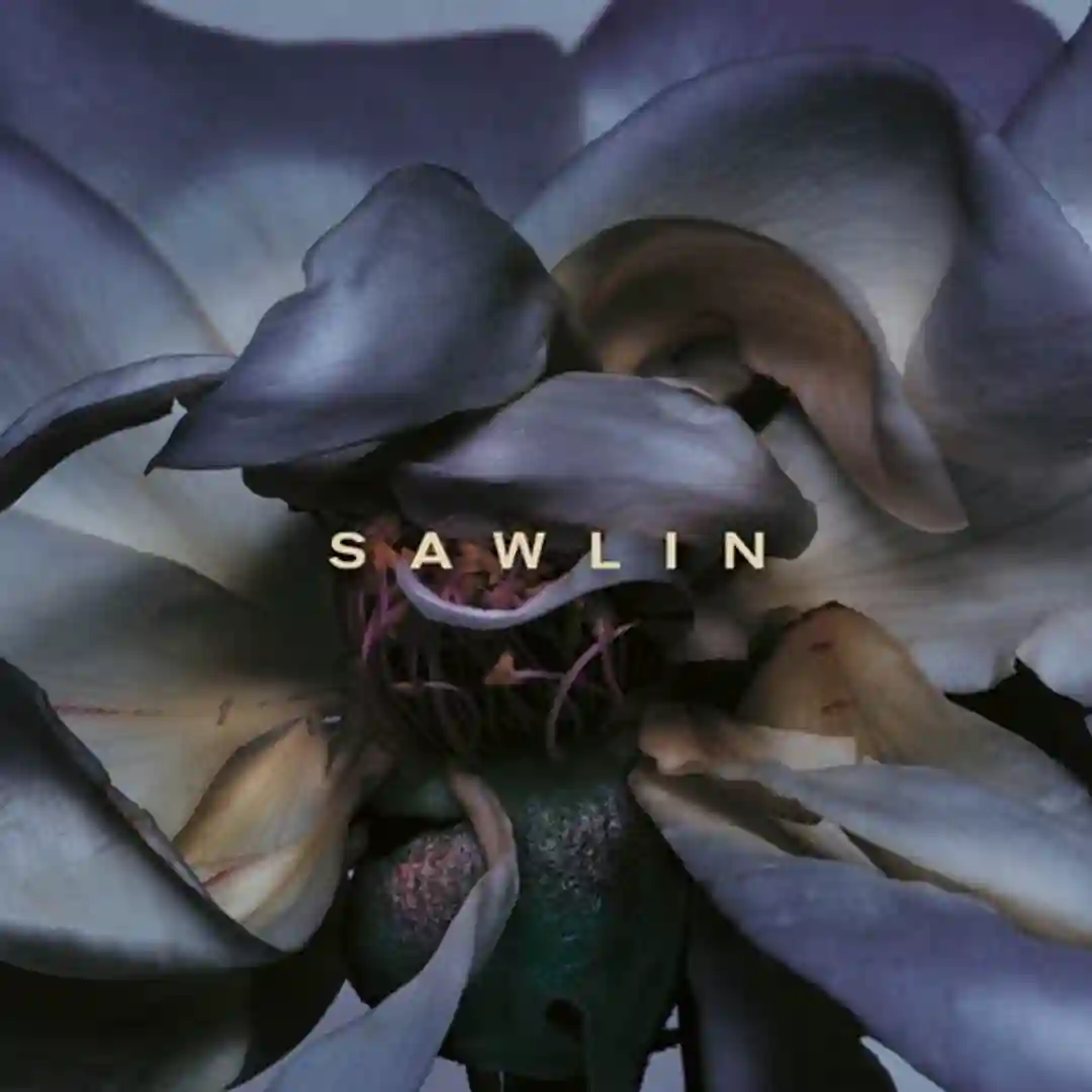 Sauseschritt (Original Mix) cover