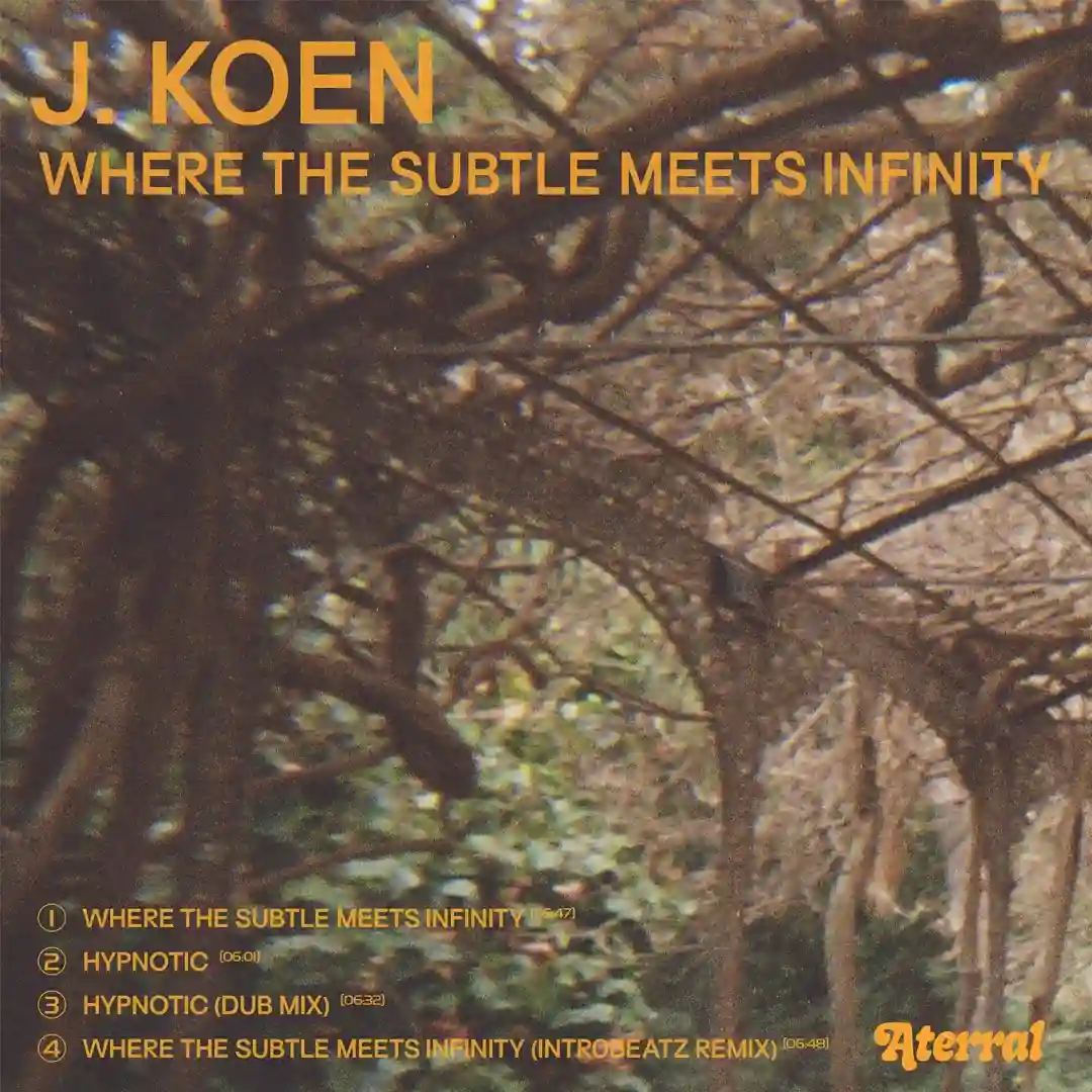 Where the Subtle Meets Infinity cover