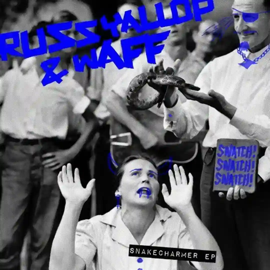 Snakecharmer (Gorge Remix) cover