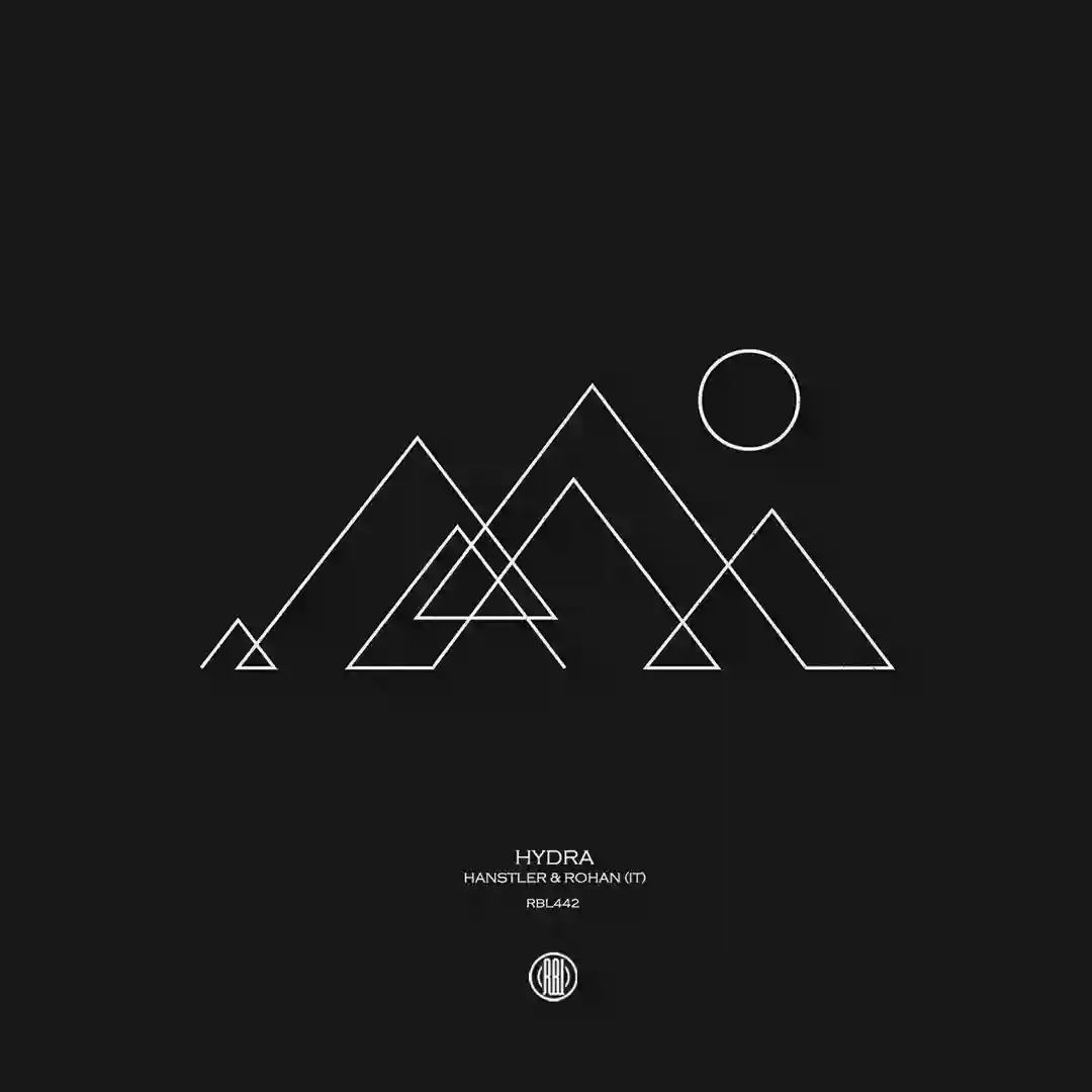 Borealis (Original Mix) cover