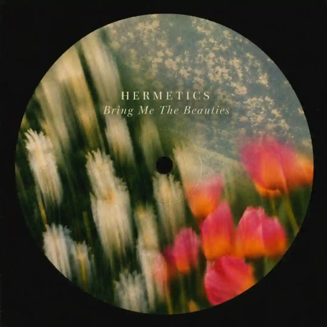 Bring Me The Beauties (Original Mix) cover