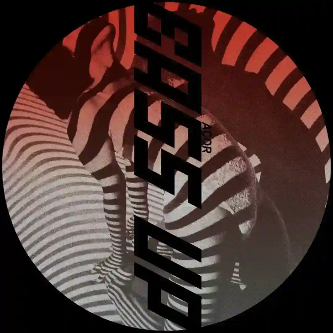 Bass Up cover