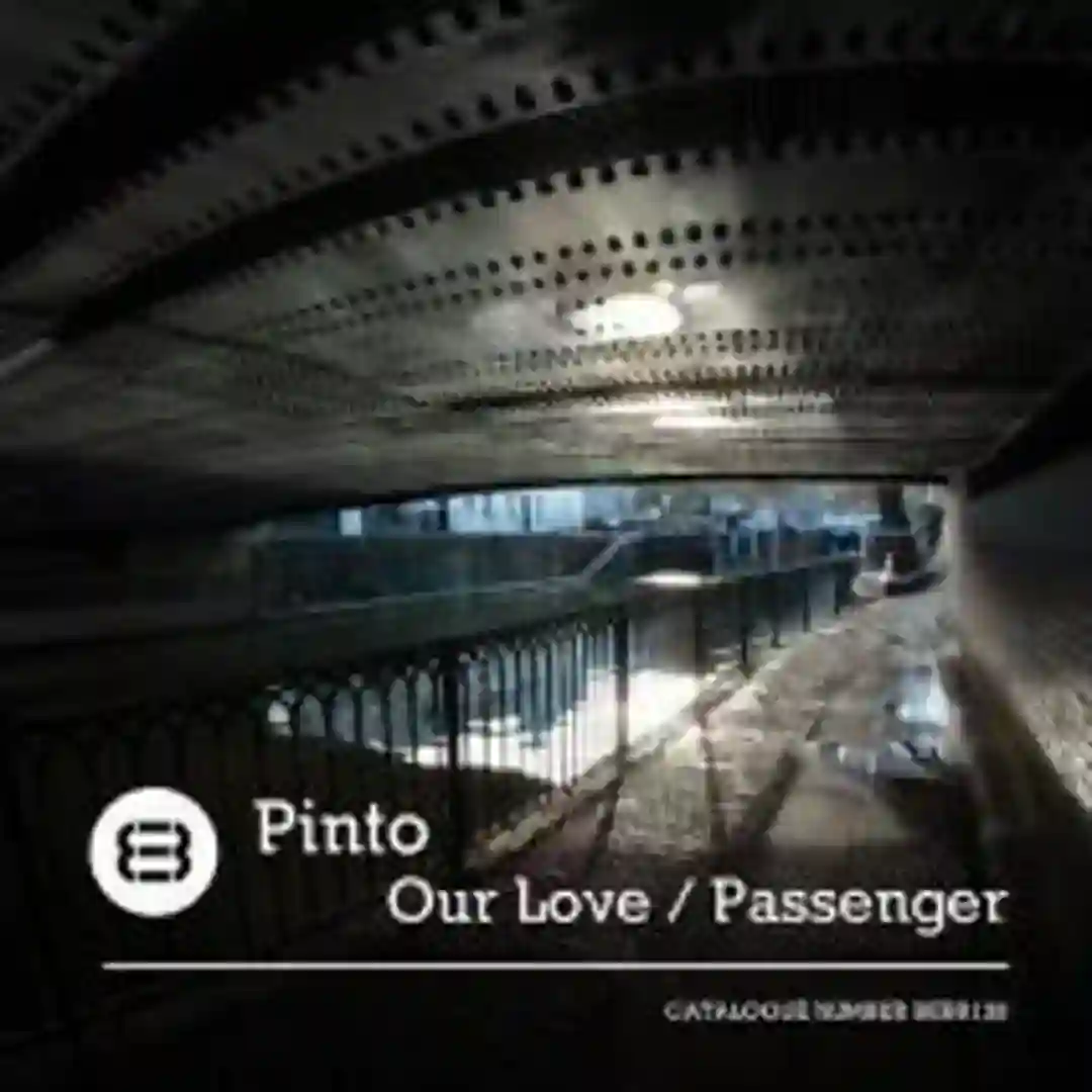 Passenger (Original Mix) cover