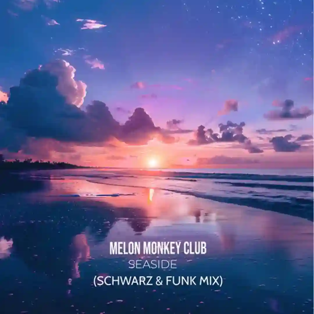 Seaside (Schwarz & Funk Mix) cover