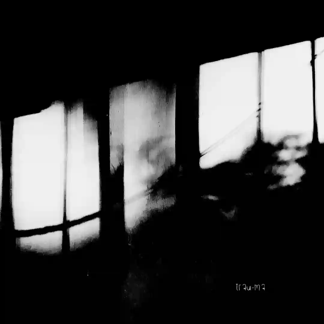They Didn't Notice (Original Mix) cover