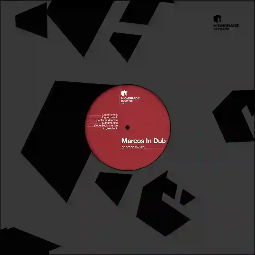 Gnomofunk (Todd Bodine Remix) cover