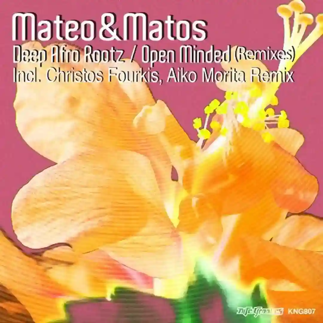 Deep Afro Roots (Christos Fourkis Afrogressive Mix) cover