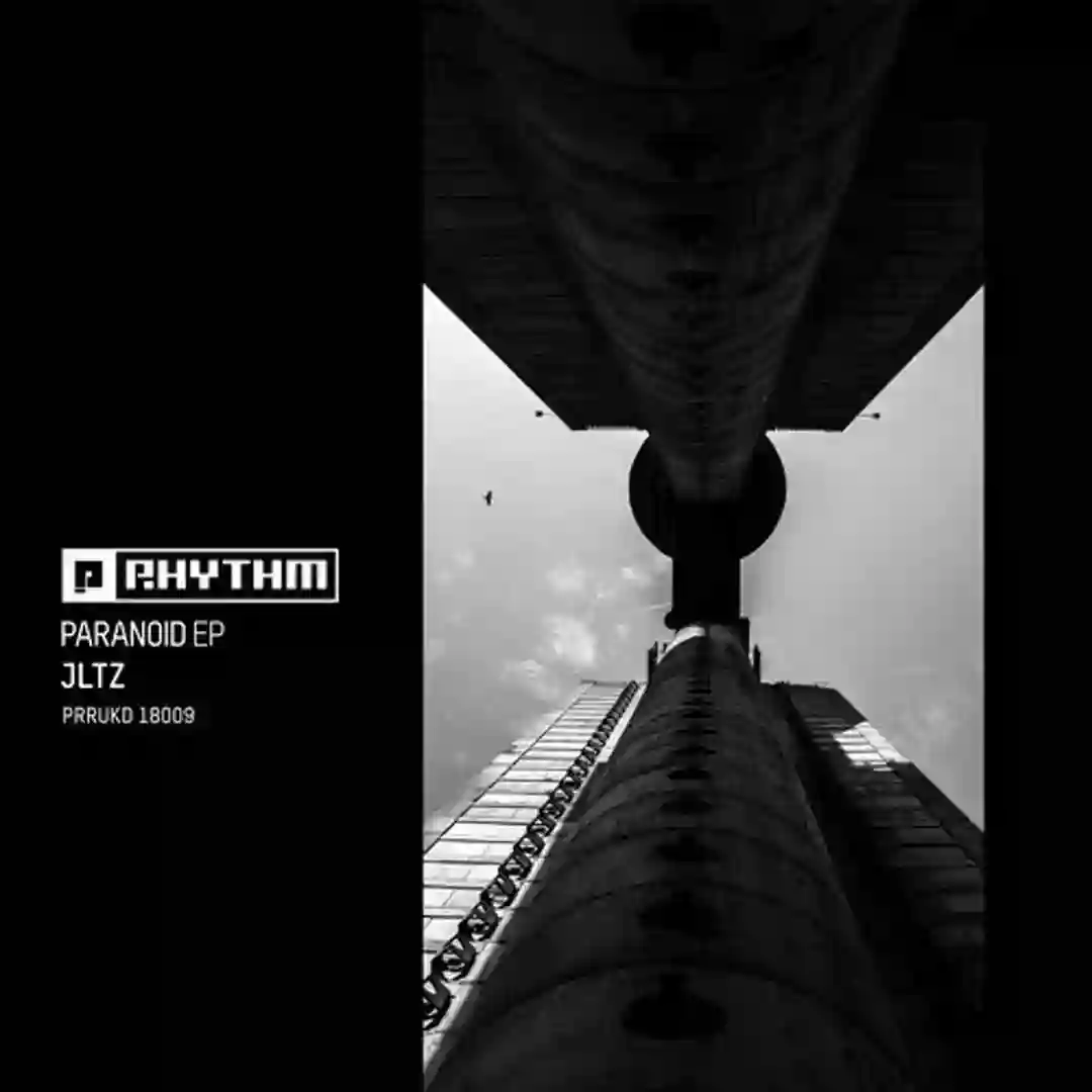 Paranoid (Original Mix) cover