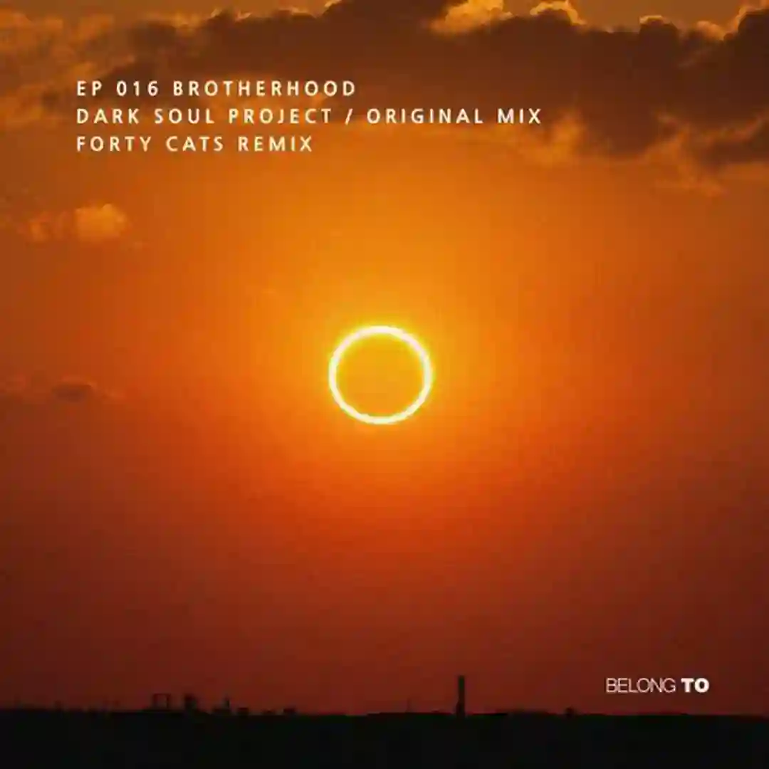 Brotherhood (Forty Cats Remix) cover