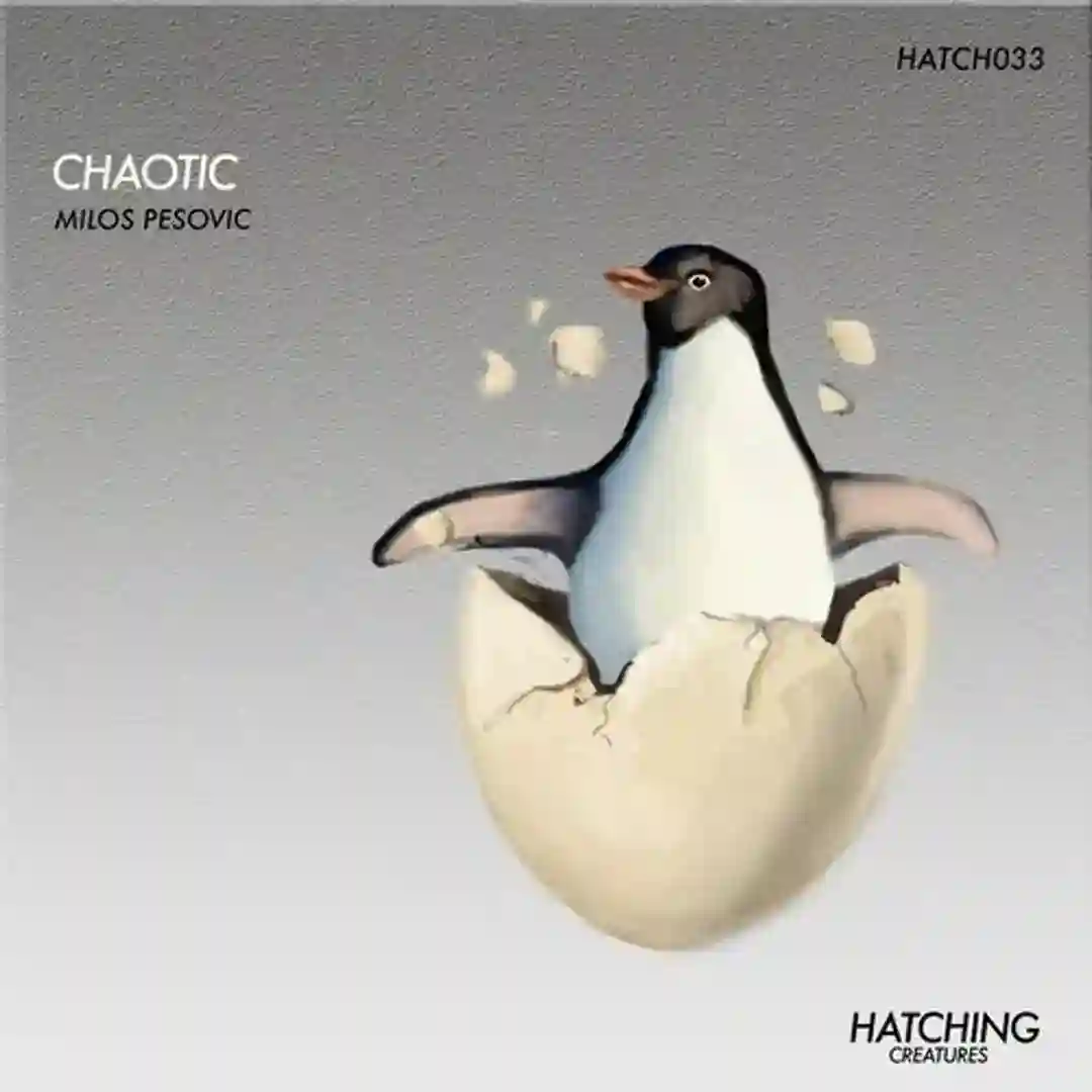 Chaotic cover