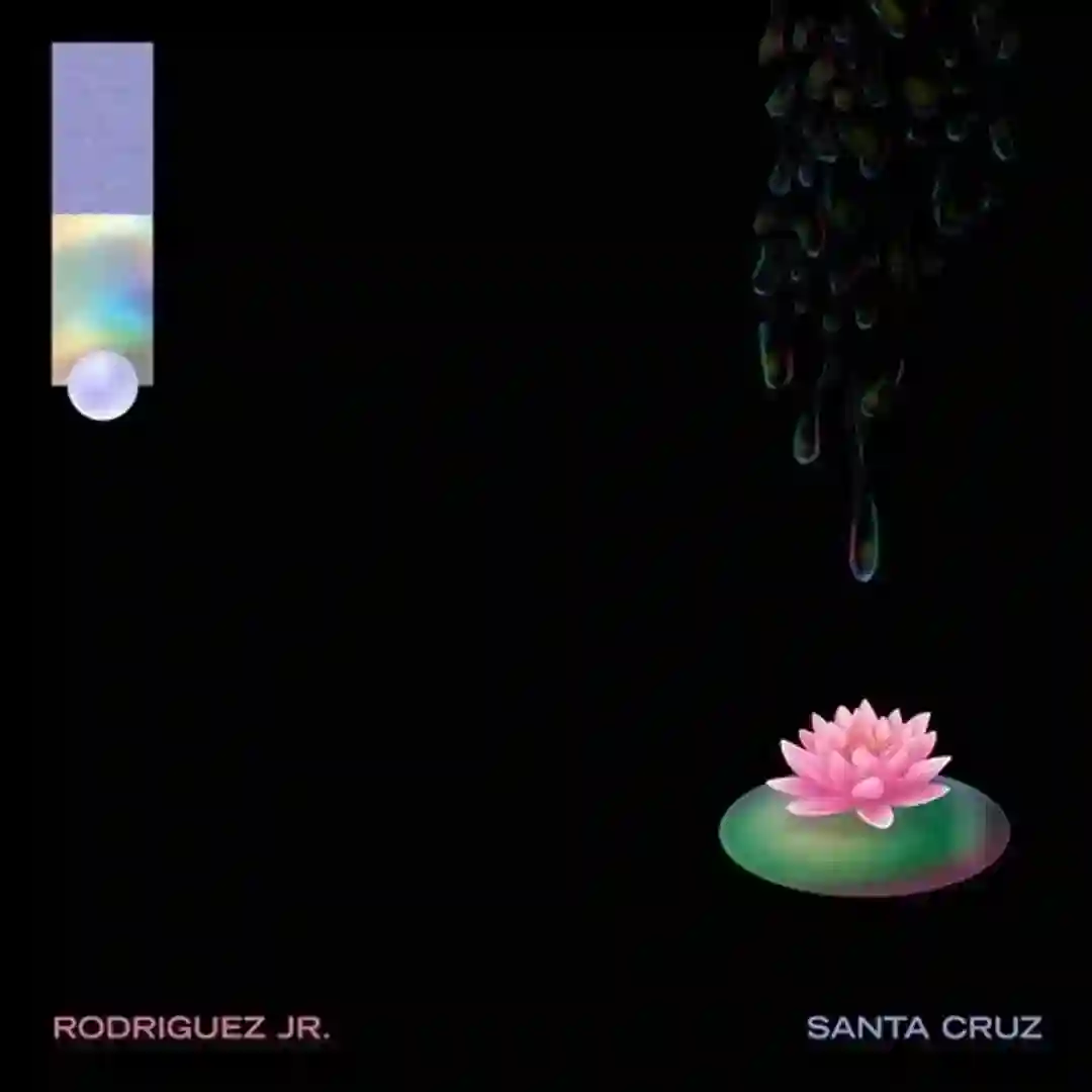Santa Cruz cover