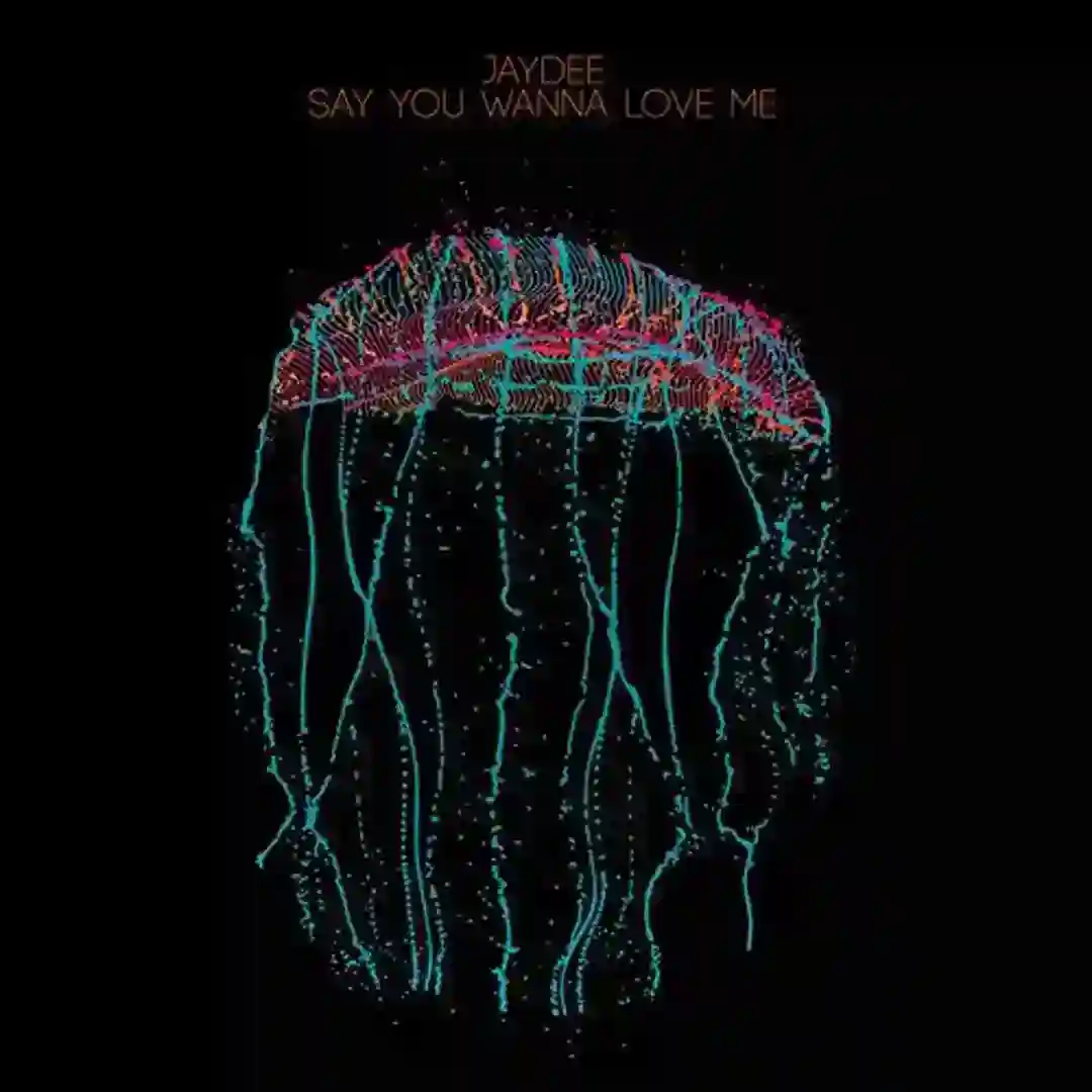 Say You Wanna Love Me cover