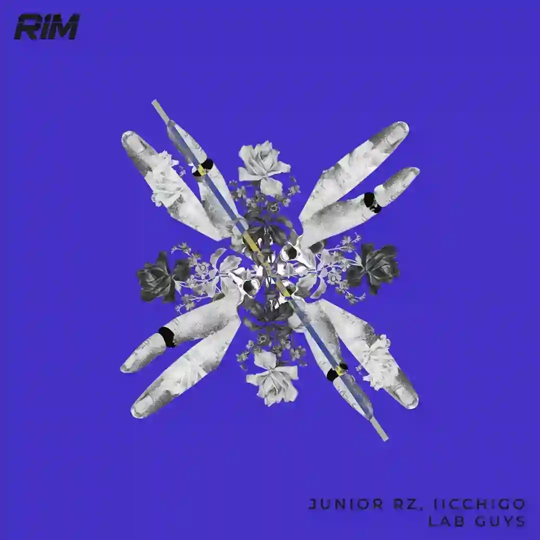 Ice (Original Mix) cover