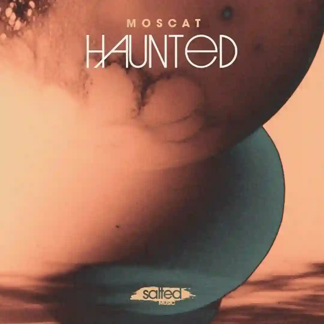 Haunted (Original Mix) cover