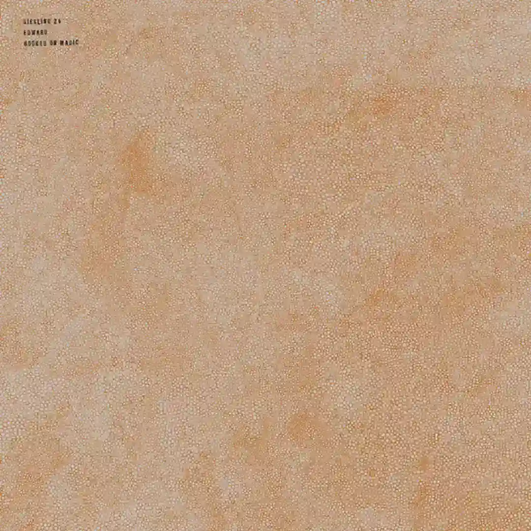 Jap Collage cover