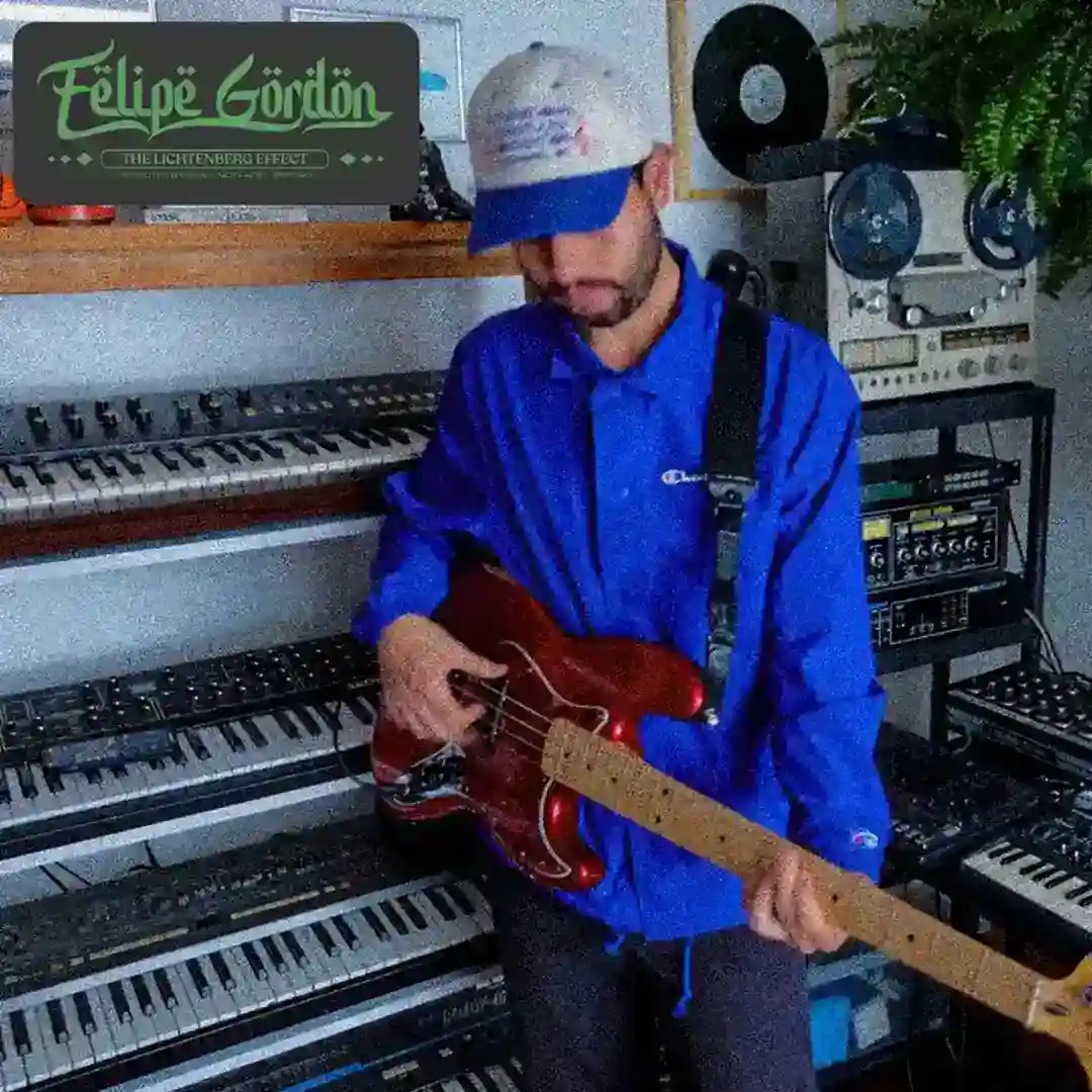 The Lichtenberg Effect  cover