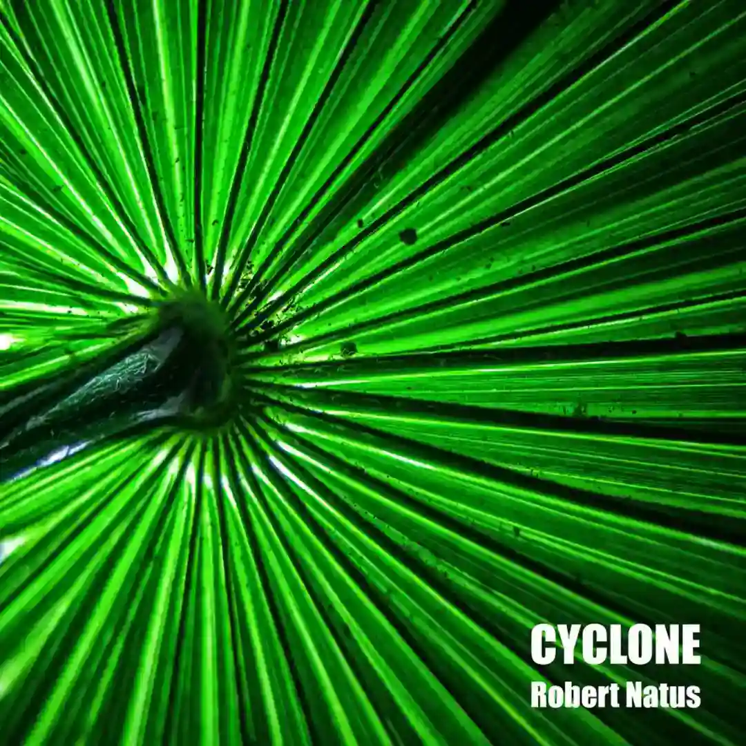 Cyclone cover