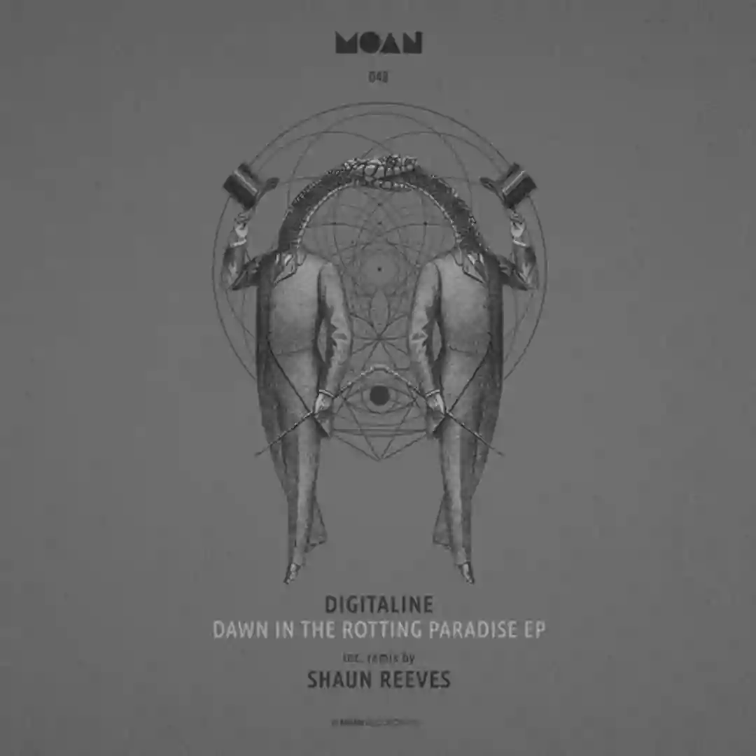 Dawn In The Rotting Paradise (Shaun Reeves Remix) cover