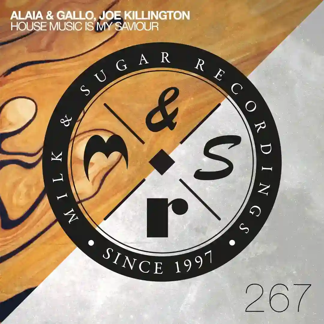 House Music Is My Saviour (Extended Mix) cover