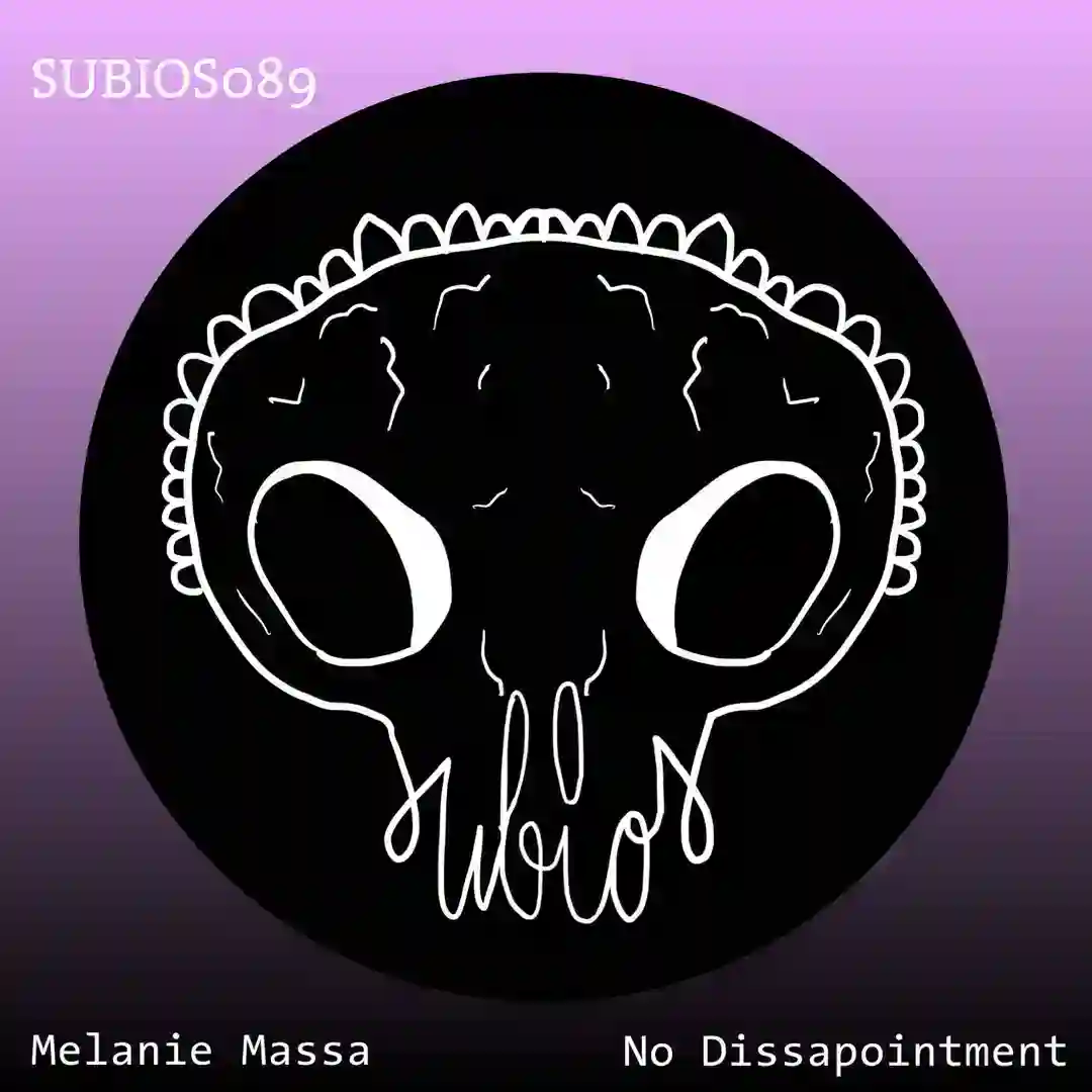 No Disappointment cover
