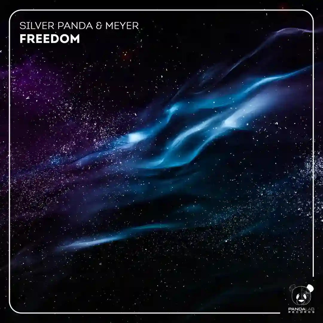 Freedom cover