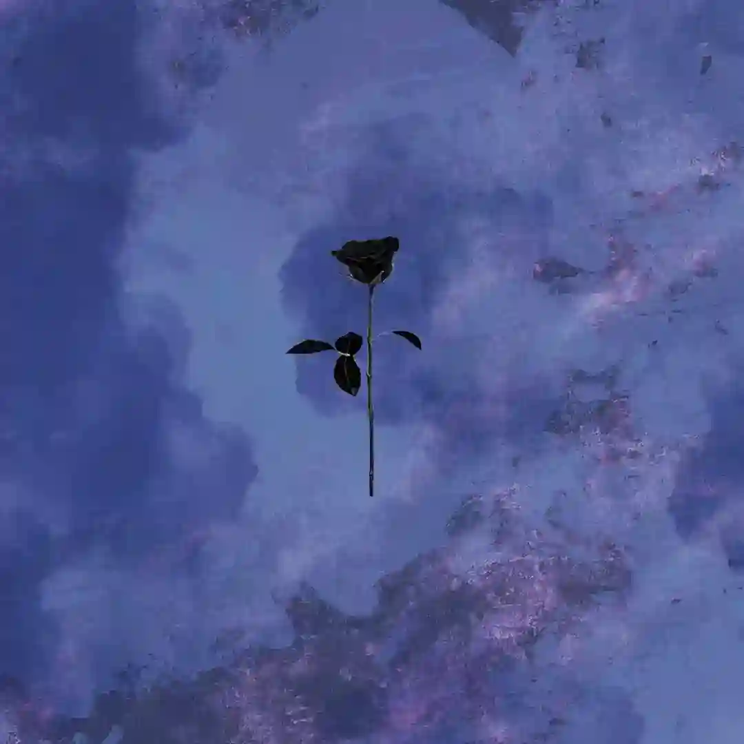 Dawn Beyond cover