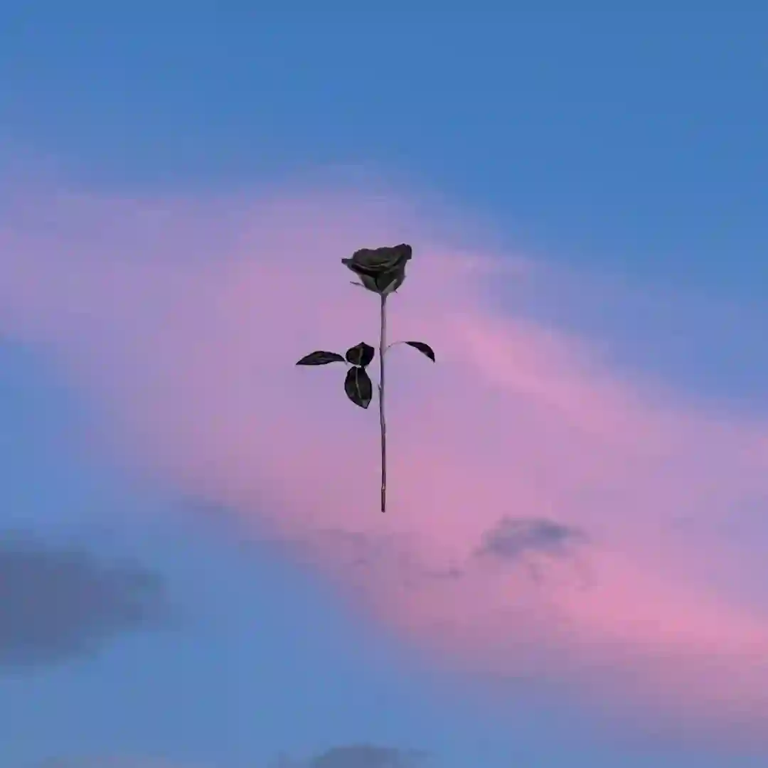 Sonne (Original Mix) cover