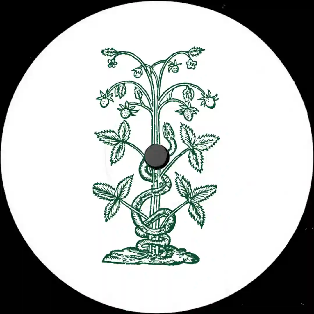 Rumble The Funk (Original Mix) cover