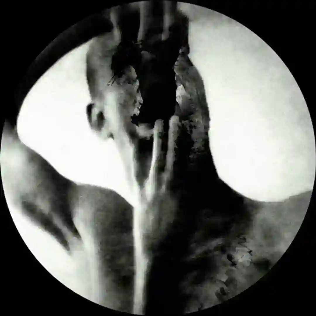 Terminator (Diego Hostettler & Krenzlin Remix) cover