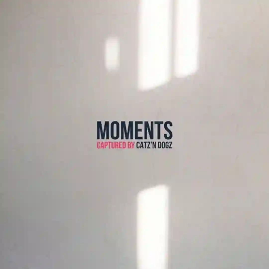 Life (Original Mix) cover