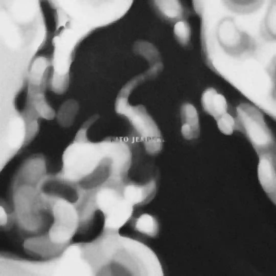 In The Midnight (with Yana Blinder) (Original Mix) cover