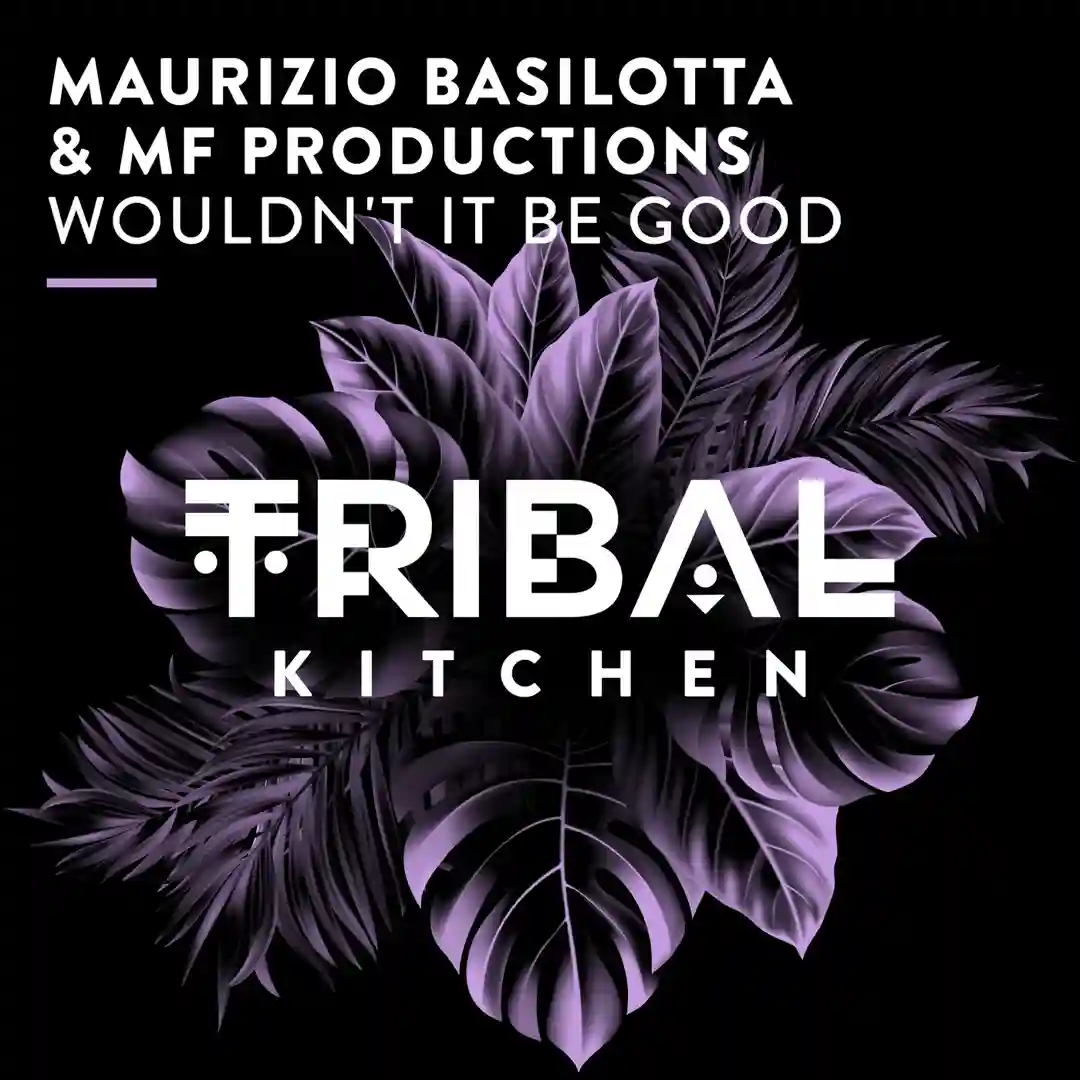 Wouldn't It Be Good (Extended Mix) cover