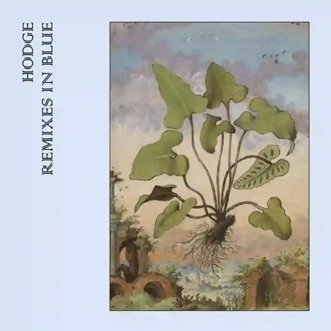 Remixes In Blue cover