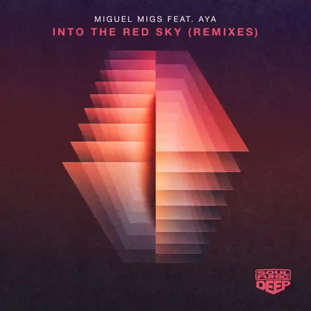 Into The Red Sky - Remixes cover