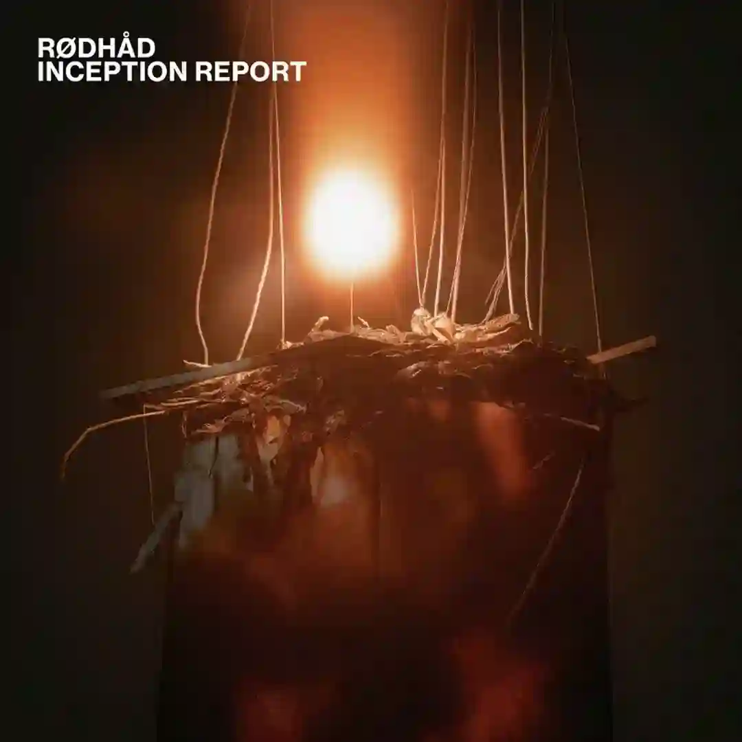Inception Report cover