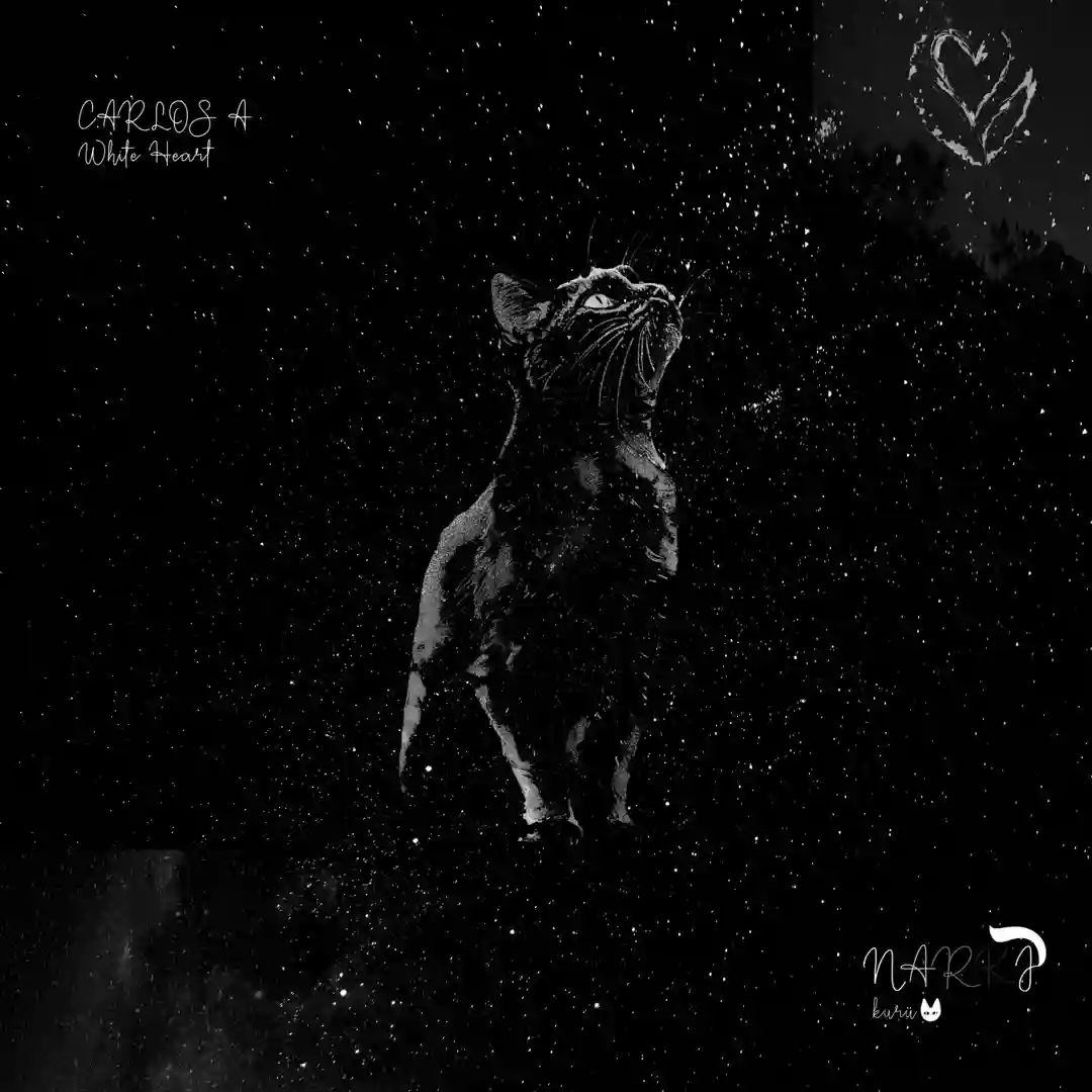 Mikro (Original Mix) cover