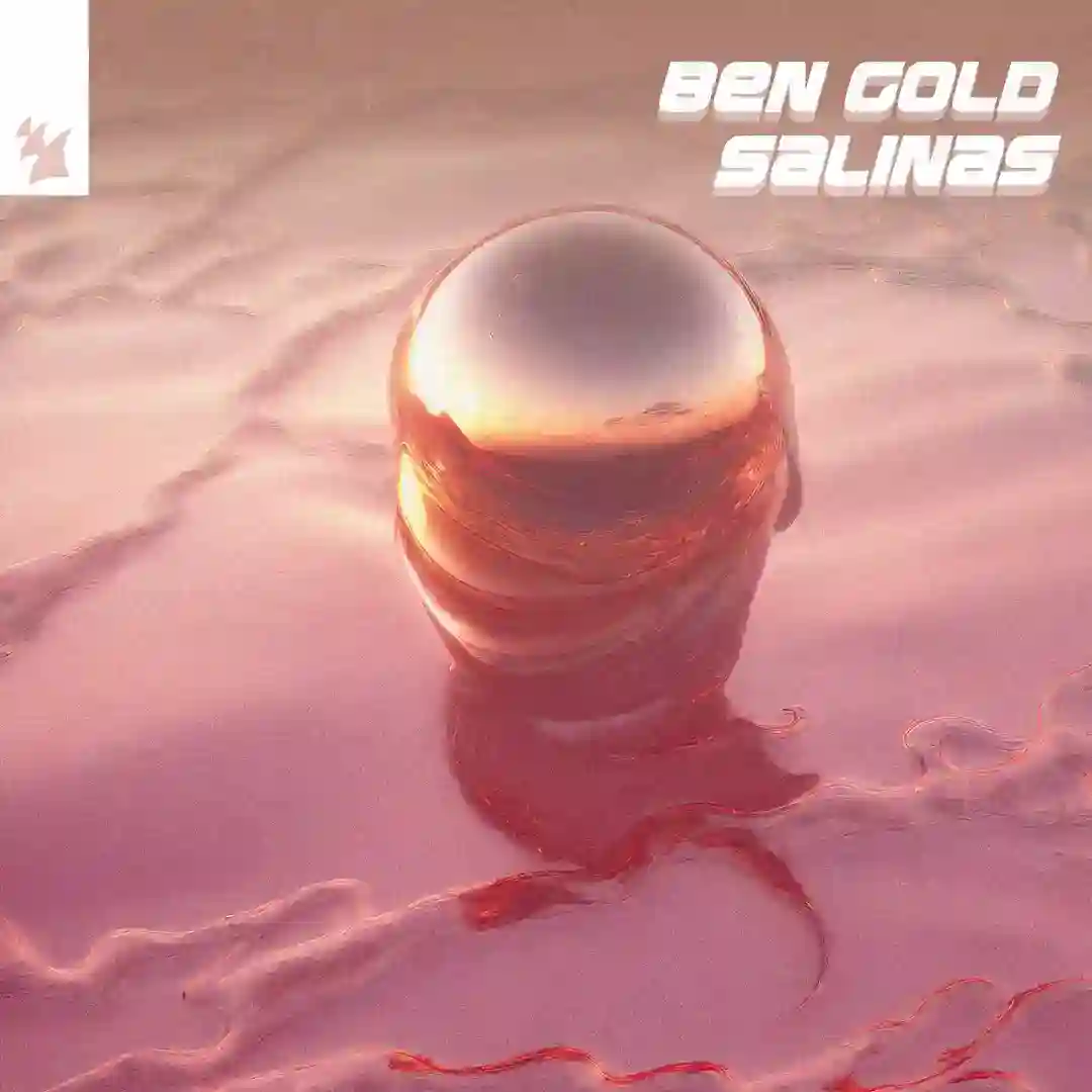 Salinas (Extended Mix) cover