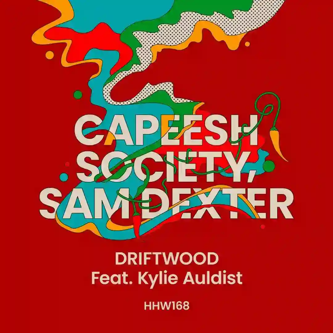 Driftwood (Extended Mix) cover