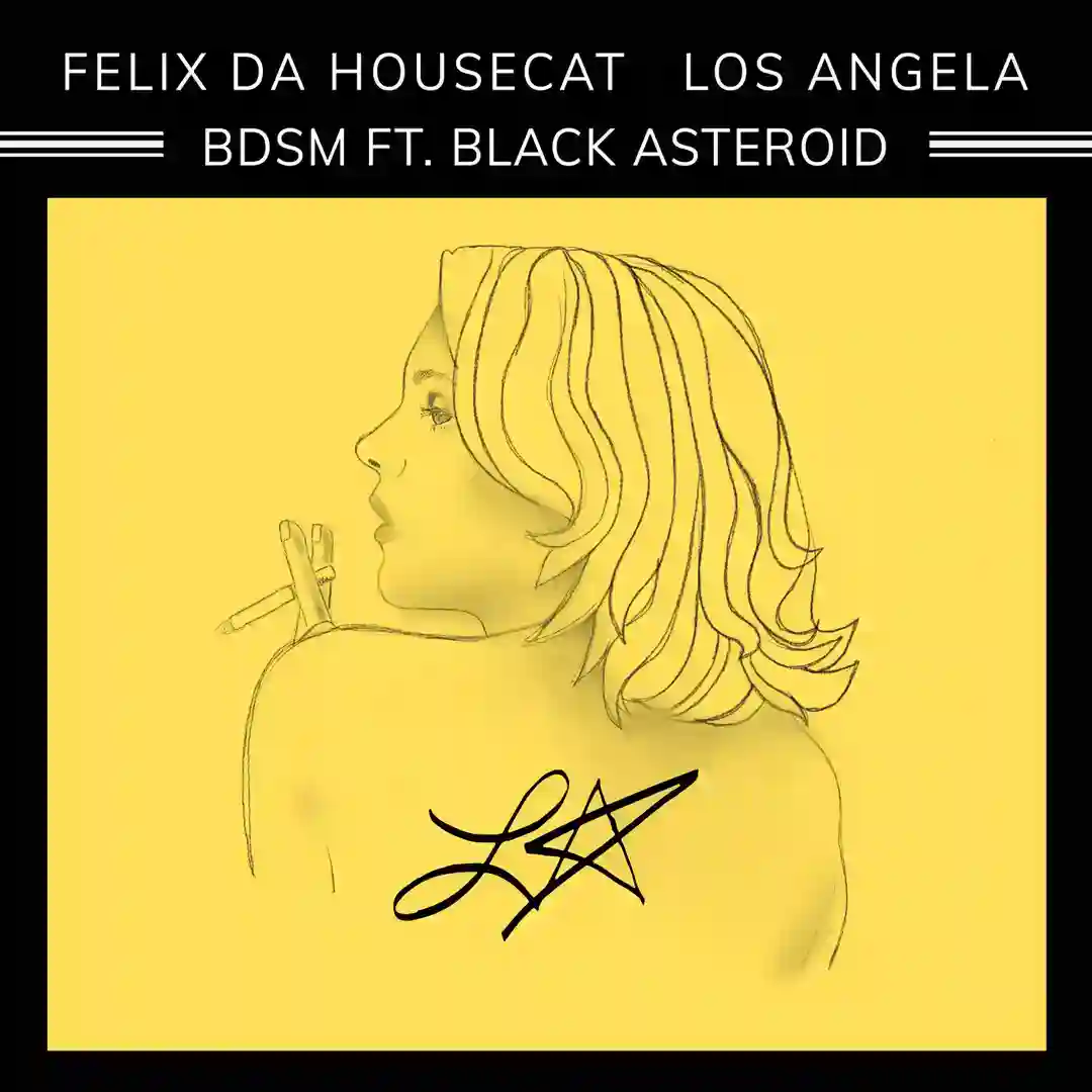 BDSM cover
