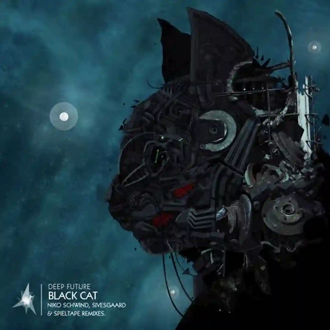 Black Cat (Sivesgaard Remix) cover