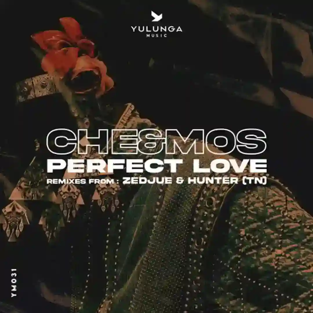 Perfect Love (Zedjue Remix) cover