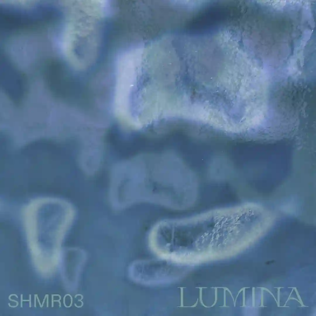 Lumina cover