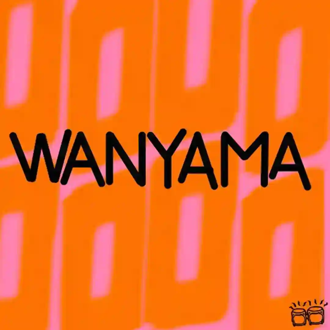 Wanyama (Original Mix) cover
