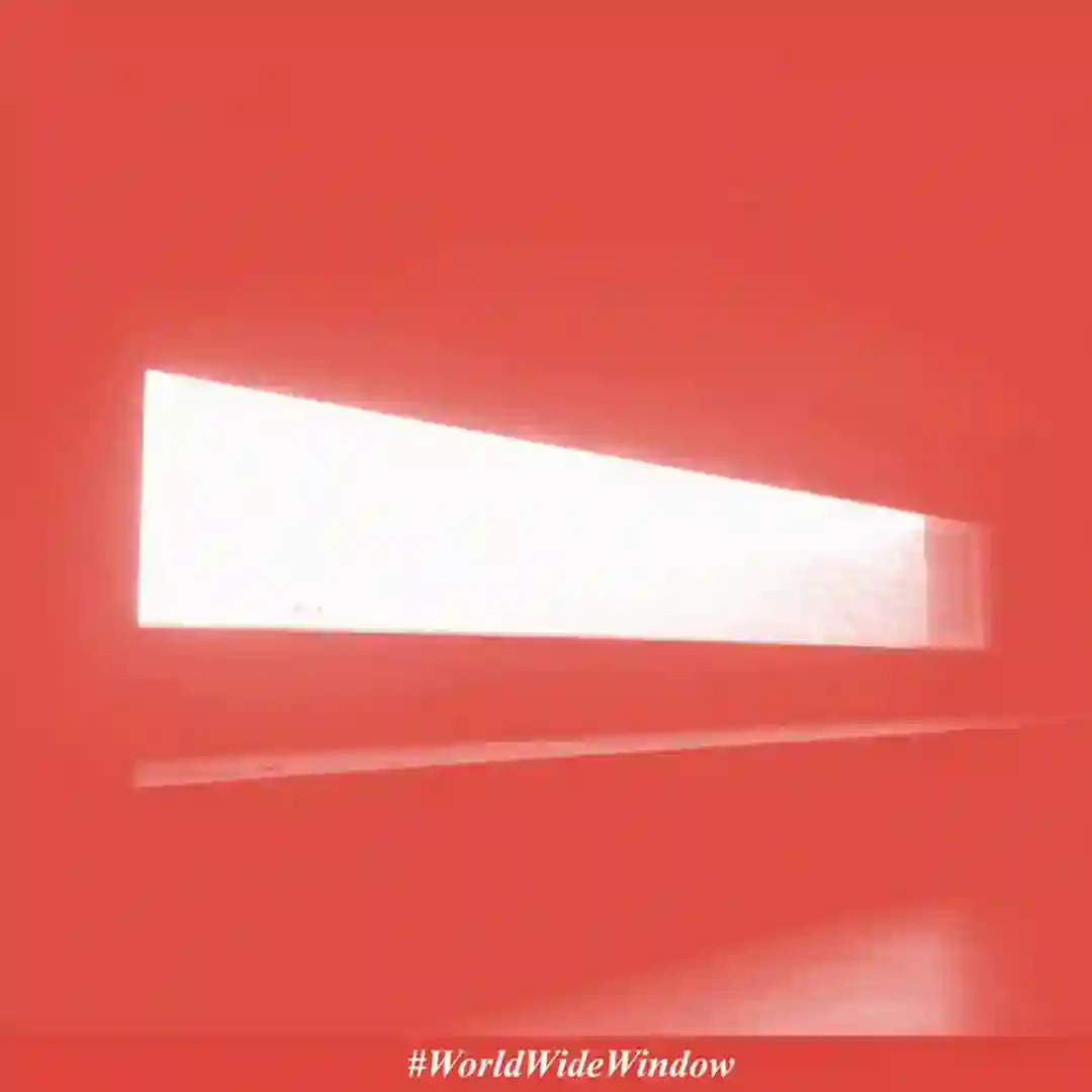 Cult of Violent Passion cover
