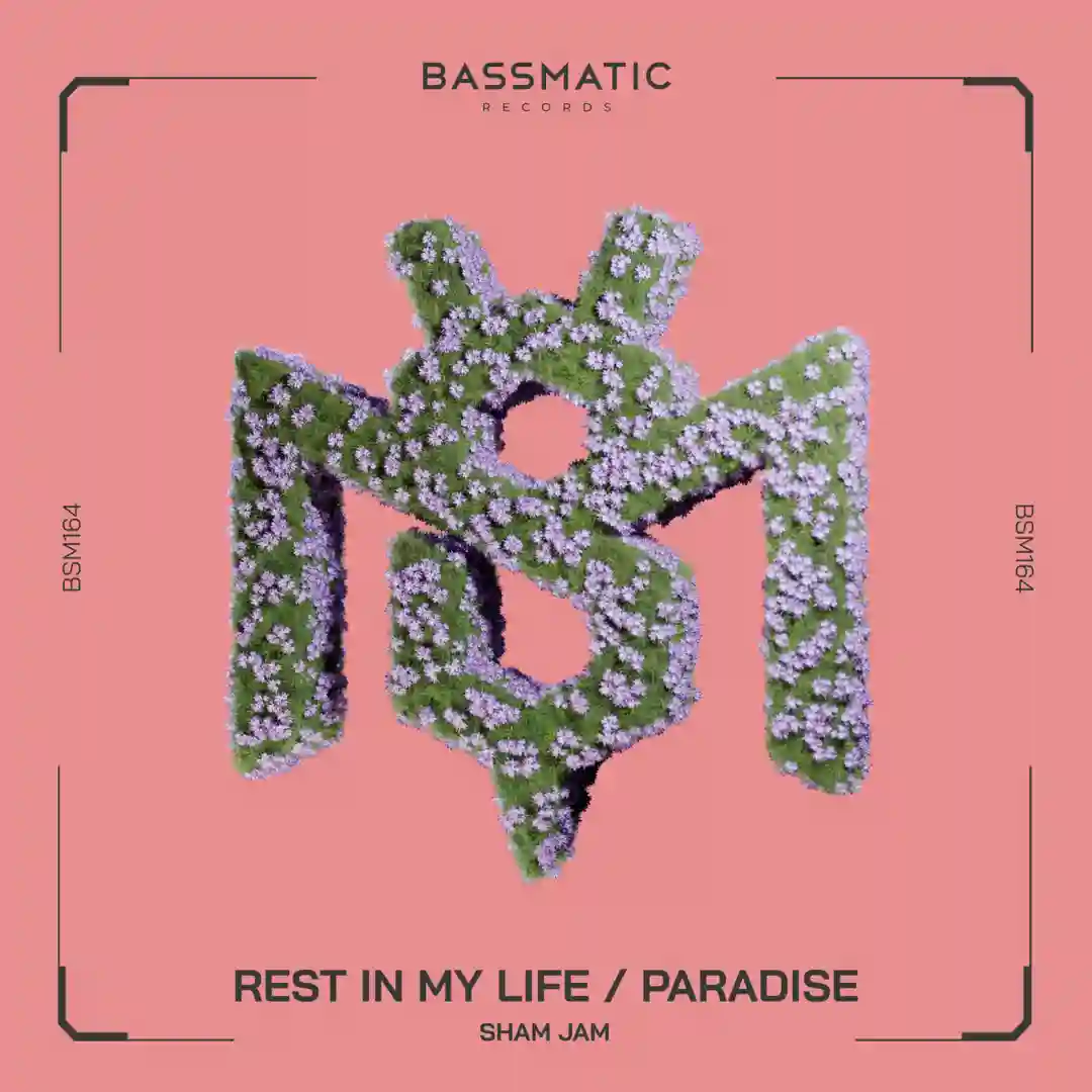 Rest in My Life (Original Mix) cover