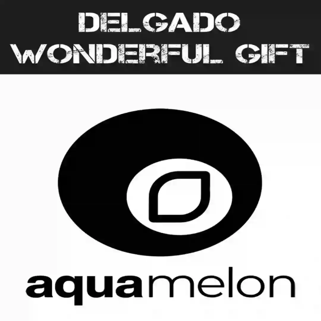 Wonderful Gift cover